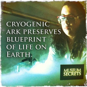 CRYOGENIC ARK1 copy